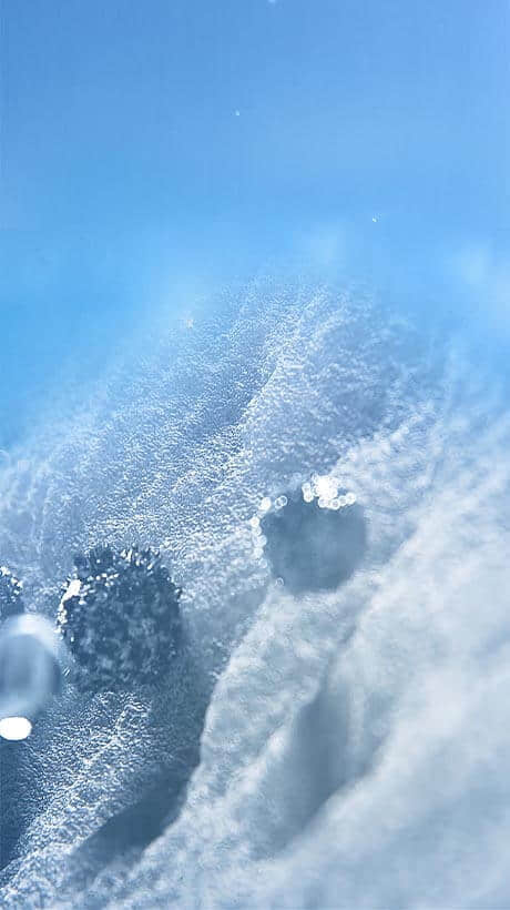 背景动画