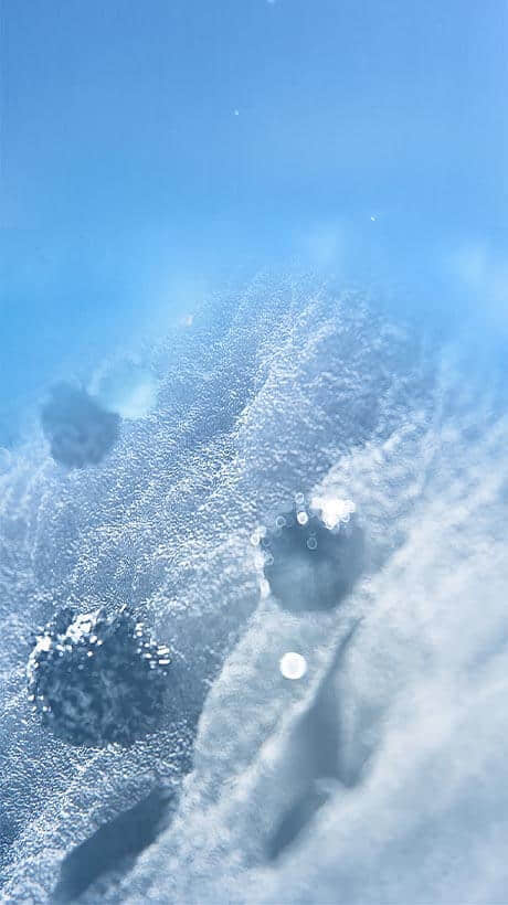 背景动画